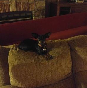 Meet your Posher, Marty